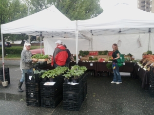 Quarter Branch Farm